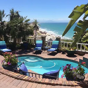 book here